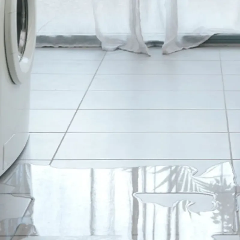 Appliance Leak Cleanup in Paris, TX