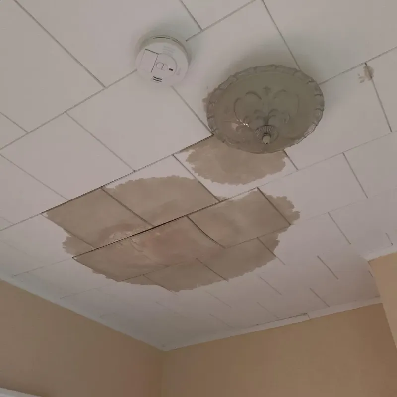 Ceiling Water Damage Repair in Paris, TX