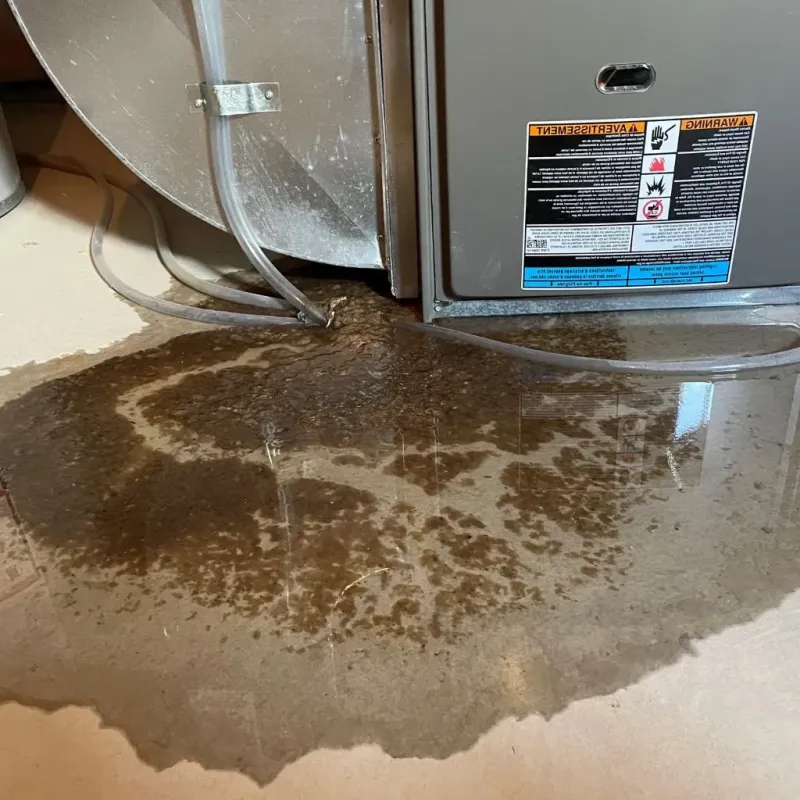 Pipe Burst and Leak Restoration in Paris, TX